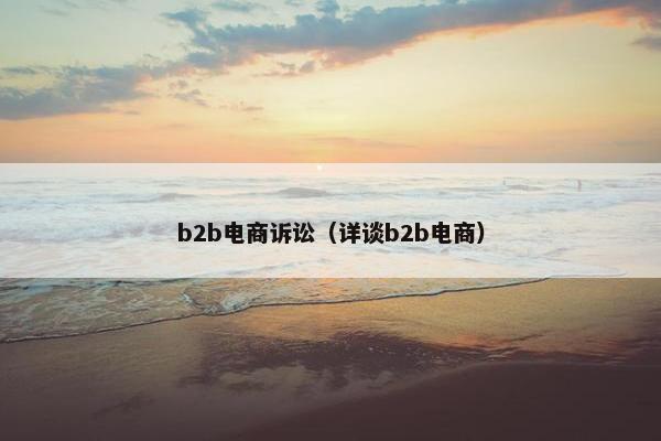 b2b电商诉讼（详谈b2b电商）