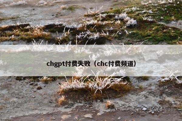 chgpt付费失败（chc付费频道）
