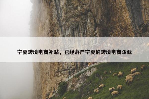 宁夏跨境电商补贴，已经落户宁夏的跨境电商企业