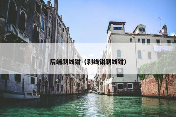 后端剥线钳（剥线钳剥线钳）