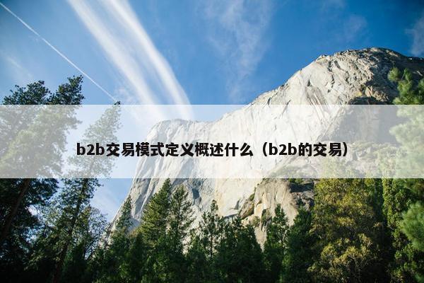 b2b交易模式定义概述什么（b2b的交易）