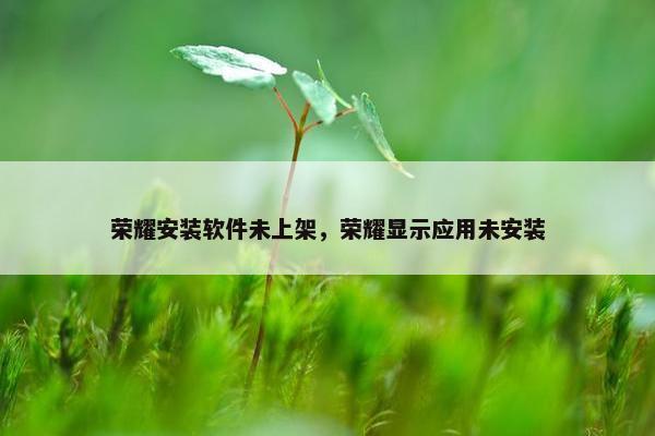 荣耀安装软件未上架，荣耀显示应用未安装