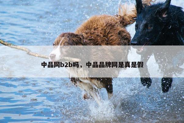 中品网b2b吗，中品品牌网是真是假
