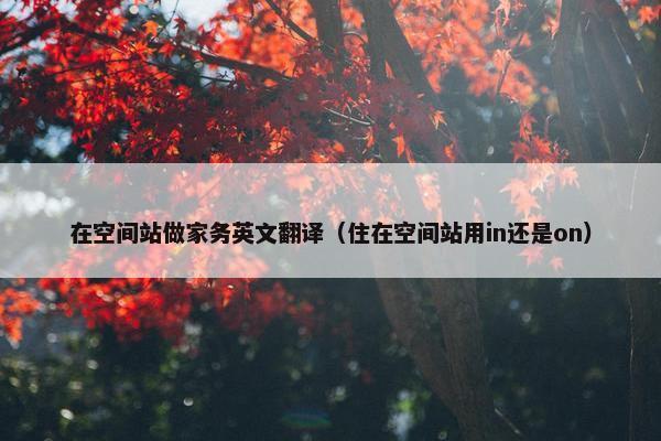 在空间站做家务英文翻译（住在空间站用in还是on）