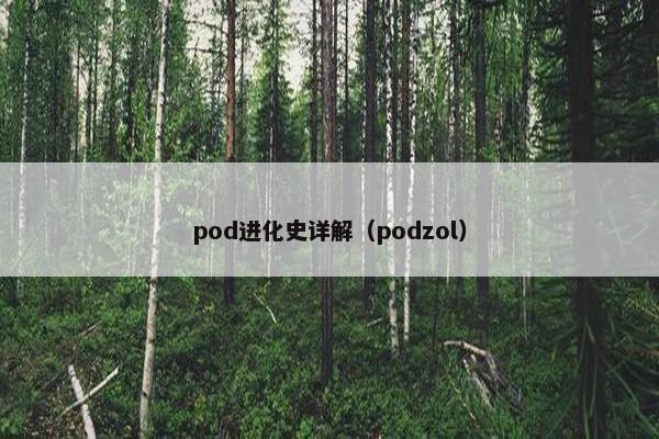 pod进化史详解（podzol）