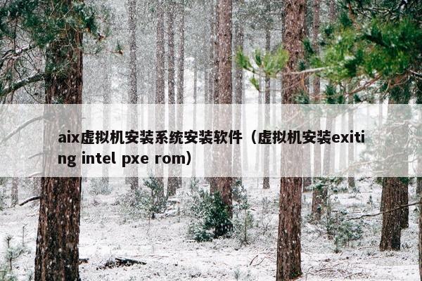 aix虚拟机安装系统安装软件（虚拟机安装exiting intel pxe rom）