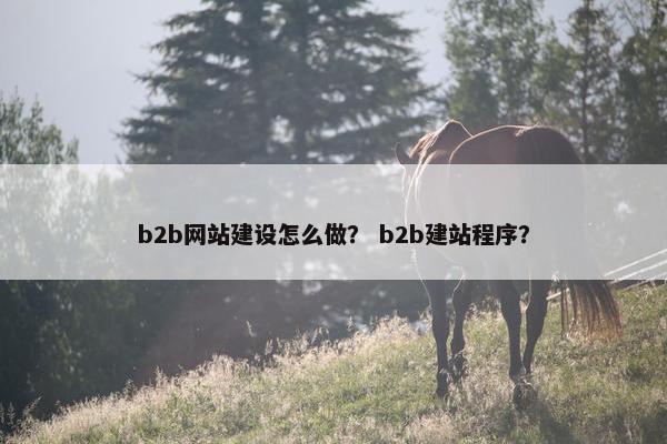 b2b网站建设怎么做？ b2b建站程序？