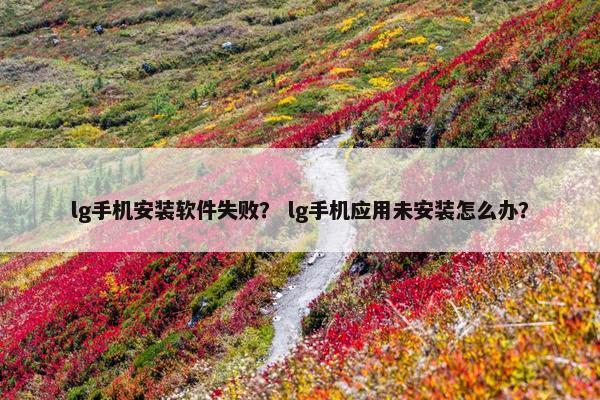 lg手机安装软件失败？ lg手机应用未安装怎么办？