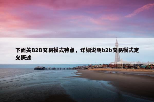 下面关B2B交易模式特点，详细说明b2b交易模式定义概述