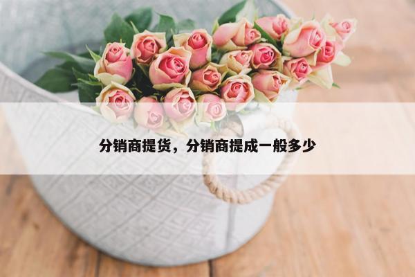 分销商提货，分销商提成一般多少
