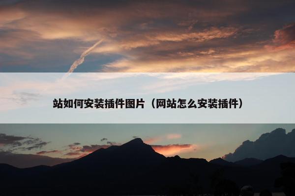 站如何安装插件图片（网站怎么安装插件）