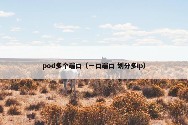 pod多个端口（一口端口 划分多ip）