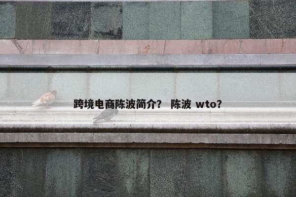 跨境电商陈波简介？ 陈波 wto？
