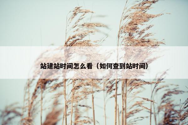 站建站时间怎么看（如何查到站时间）