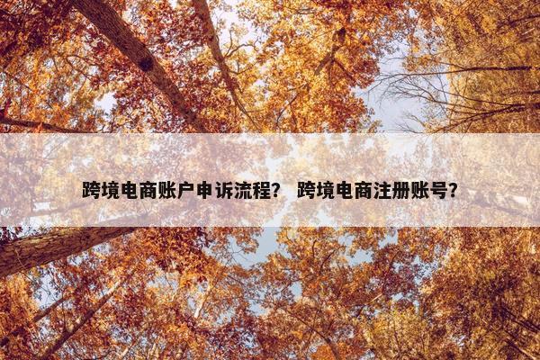 跨境电商账户申诉流程？ 跨境电商注册账号？