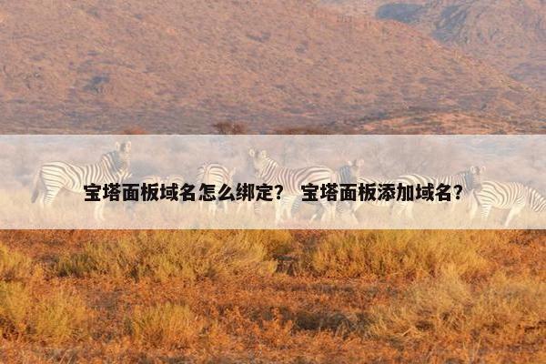 宝塔面板域名怎么绑定？ 宝塔面板添加域名？