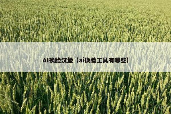 AI换脸汉堡（ai换脸工具有哪些）