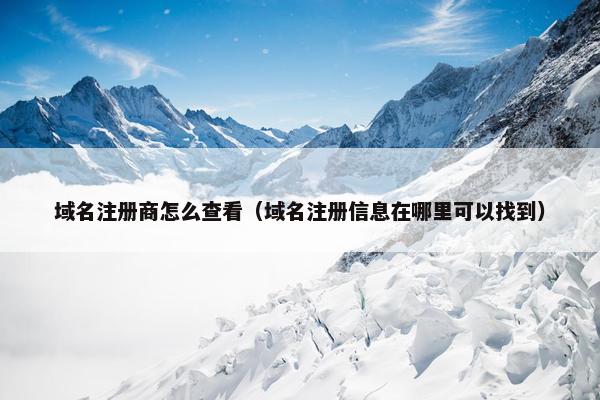 域名注册商怎么查看（域名注册信息在哪里可以找到）