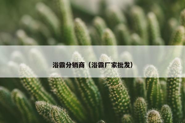 浴霸分销商（浴霸厂家批发）