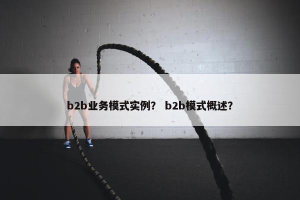 b2b业务模式实例？ b2b模式概述？