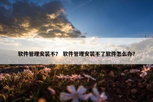 软件管理安装不？ 软件管理安装不了软件怎么办？