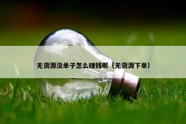 无货源没单子怎么赚钱呢（无货源下单）