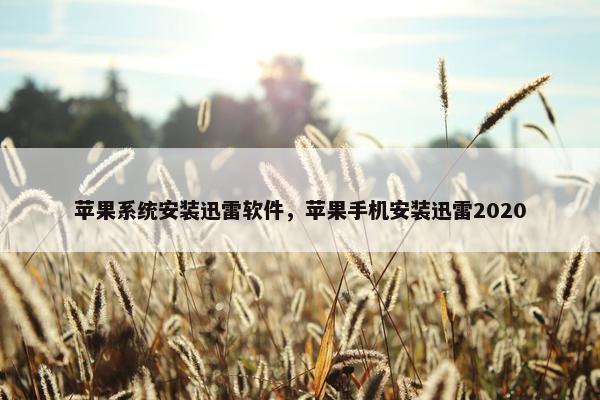 苹果系统安装迅雷软件，苹果手机安装迅雷2020
