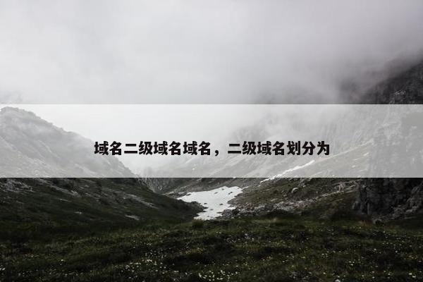 域名二级域名域名，二级域名划分为