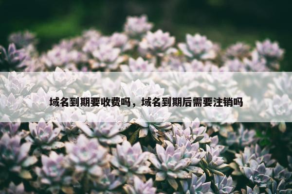 域名到期要收费吗，域名到期后需要注销吗