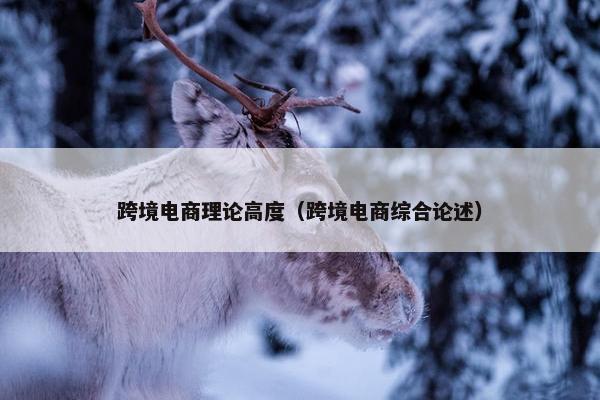 跨境电商理论高度（跨境电商综合论述）