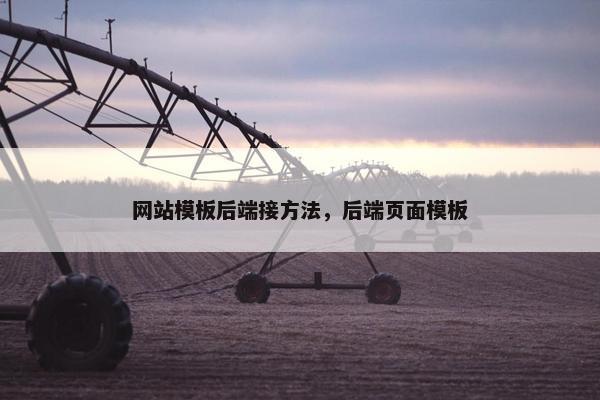 网站模板后端接方法，后端页面模板