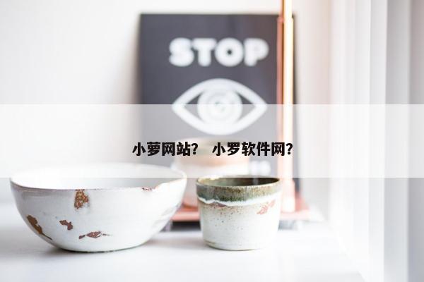 小萝网站？ 小罗软件网？