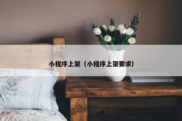 小程序上架（小程序上架要求）