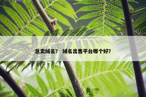 急卖域名？ 域名出售平台哪个好？