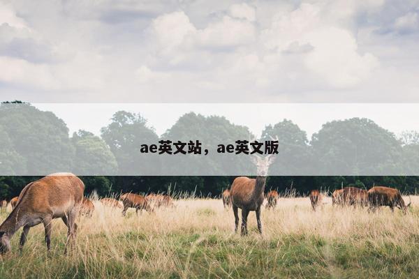 ae英文站，ae英文版