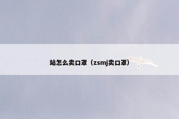站怎么卖口罩（zsmj卖口罩）