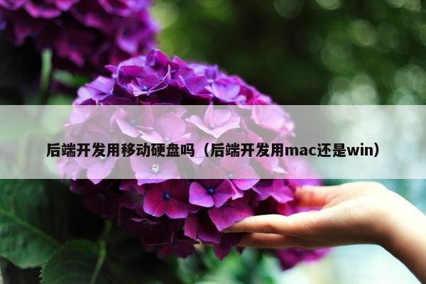 后端开发用移动硬盘吗（后端开发用mac还是win）