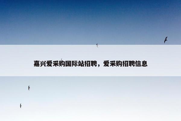 嘉兴爱采购国际站招聘，爱采购招聘信息