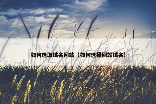 如何选取域名网站（如何选择网站域名）