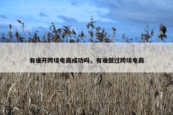 有谁开跨境电商成功吗，有谁做过跨境电商