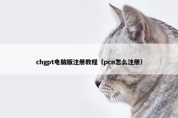 chgpt电脑版注册教程（pcn怎么注册）