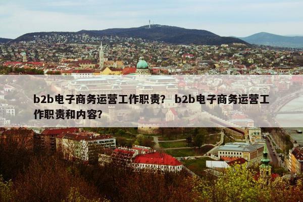 b2b电子商务运营工作职责？ b2b电子商务运营工作职责和内容？