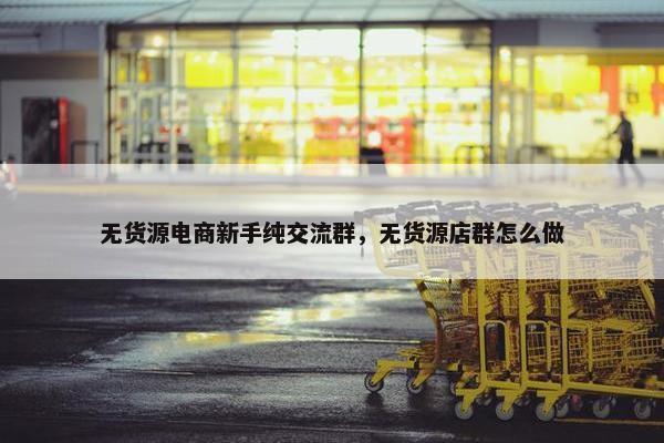 无货源电商新手纯交流群，无货源店群怎么做
