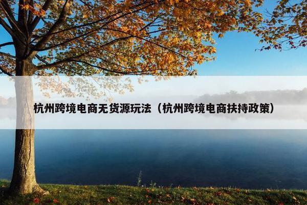 杭州跨境电商无货源玩法（杭州跨境电商扶持政策）