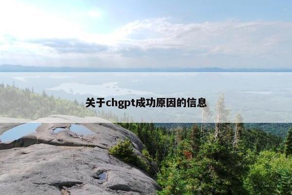 关于chgpt成功原因的信息
