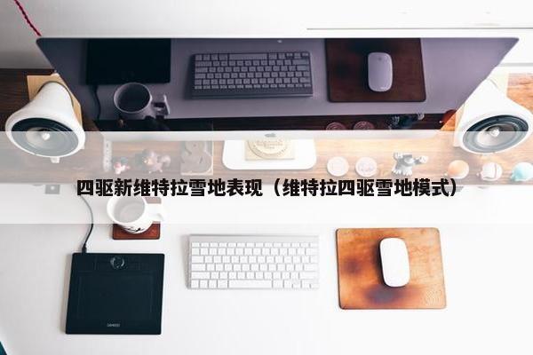 四驱新维特拉雪地表现（维特拉四驱雪地模式）