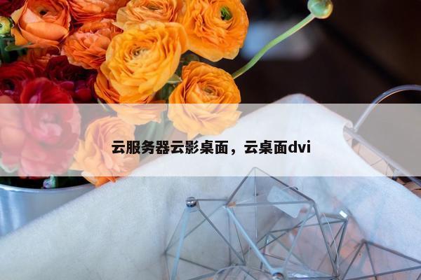 云服务器云影桌面，云桌面dvi