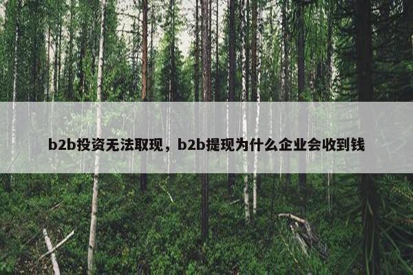b2b投资无法取现，b2b提现为什么企业会收到钱