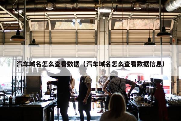汽车域名怎么查看数据（汽车域名怎么查看数据信息）