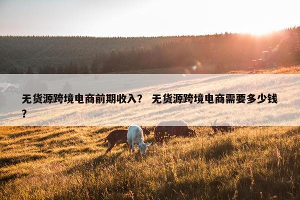 无货源跨境电商前期收入？ 无货源跨境电商需要多少钱？